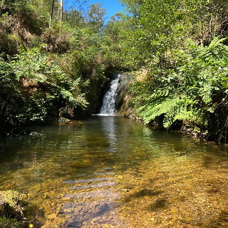 La Vierta Casa Rural Agroturismo Ribadesella Kültér fotó