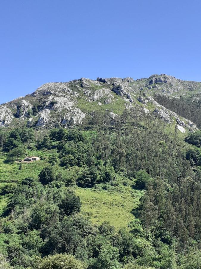 La Vierta Casa Rural Agroturismo Ribadesella Kültér fotó