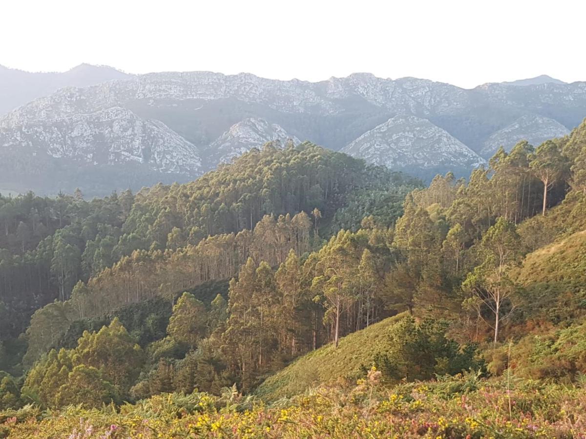 La Vierta Casa Rural Agroturismo Ribadesella Kültér fotó